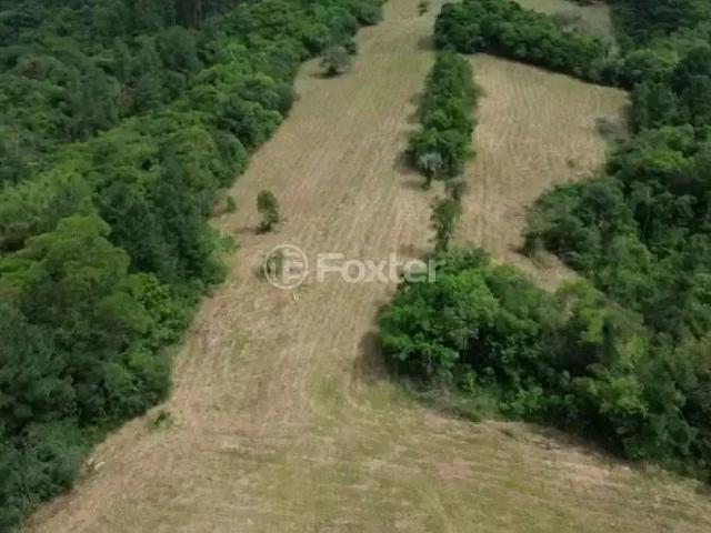 Fazenda venda em Região Geográfica Imediata de Porto Alegre, Região Metropolitana de Porto Alegre