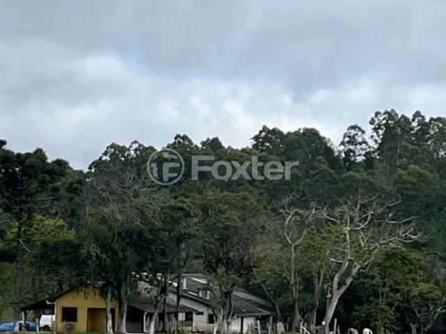 Fazenda venda em Espigão, Viamão