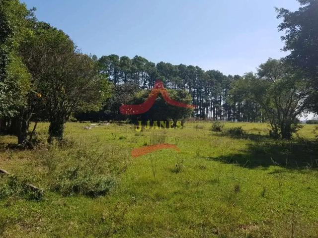 Fazenda venda em Região Geográfica Imediata de Porto Alegre, Região Metropolitana de Porto Alegre