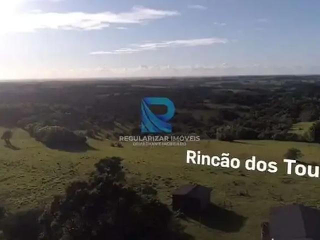 Fazenda venda em Sede, Viamão