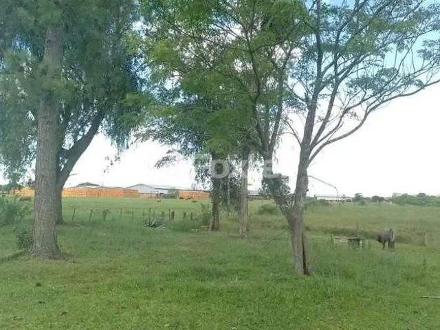 Fazenda venda em Região Geográfica Imediata de Porto Alegre, Região Metropolitana de Porto Alegre