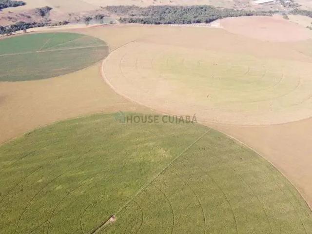 Fazenda venda em Região Geográfica Imediata de Anápolis, Vianópolis