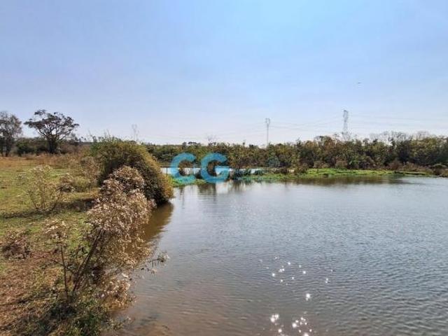 Sítio e chácara venda em Vila São Francisco, Jaguariúna