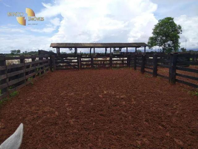 Fazenda venda em Região Geográfica Imediata de Pontes e Lacerda - Comodoro, Vila Bela da Santíssima Trindade