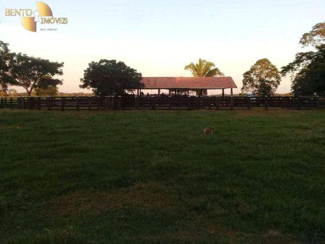 Fazenda venda em Vila Bela da Santíssima Trindade, Região Geográfica Intermediária de Cáceres