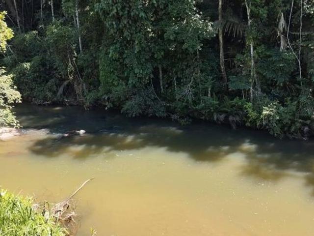 Sítio e chácara venda em Região Imediata de Cruzeiro, Região Metropolitana do Vale do Paraíba e Litoral Norte