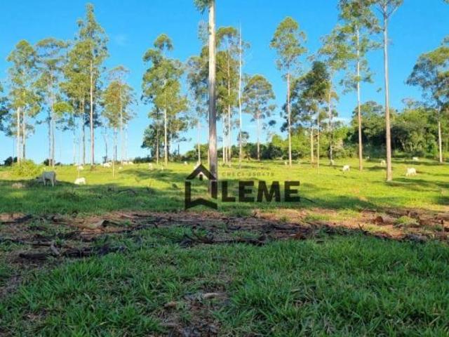 Sítio e chácara venda em Região Imediata de São José do Rio Pardo-Mococa, Região Metropolitana de Ribeirão Preto