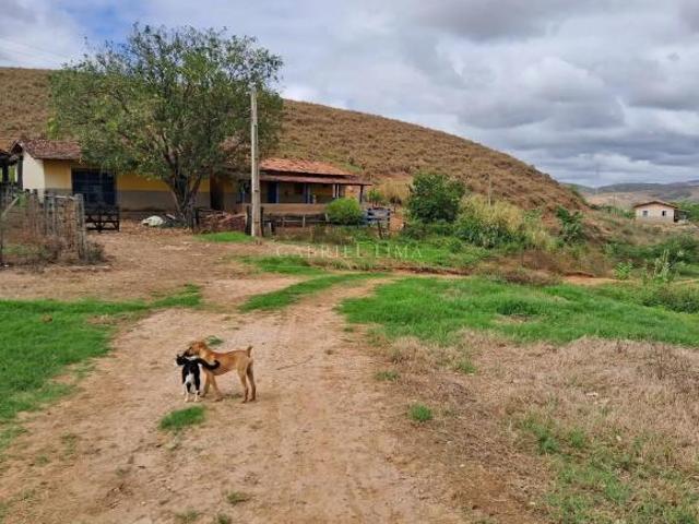 Sítio e chácara venda em Região Geográfica Imediata de Governador Valadares, Governador Valadares