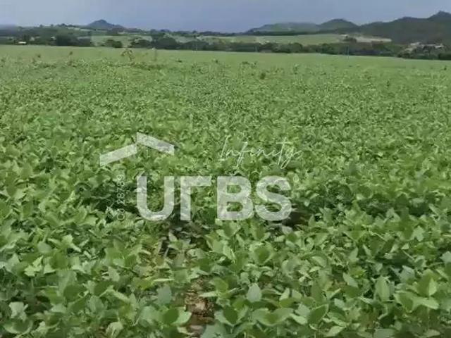 Fazenda venda em Região Geográfica Imediata de Ceres - Rialma - Goianésia, Vila Propício
