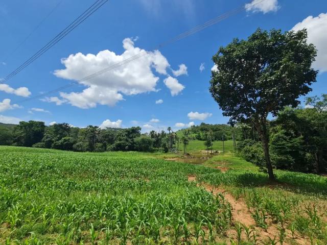Fazenda venda em Região Geográfica Imediata de Ceres - Rialma - Goianésia, Vila Propício