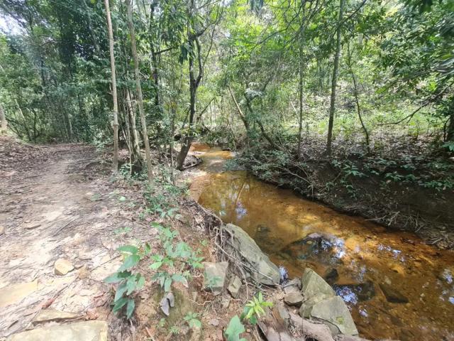 Fazenda venda em Região Geográfica Imediata de Ceres - Rialma - Goianésia, Vila Propício