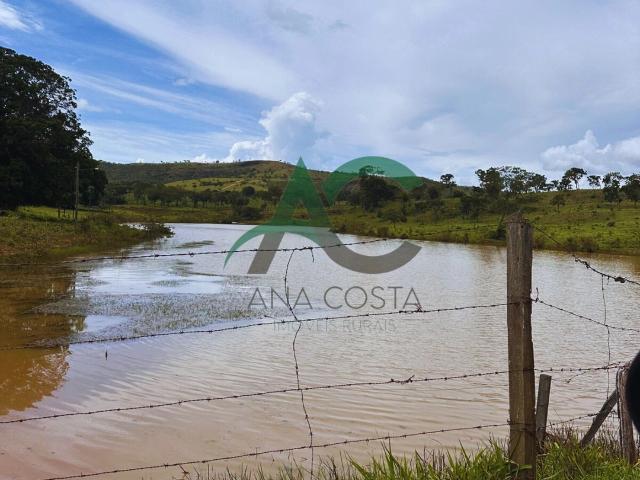 Fazenda venda em Vila Propício, Região Geográfica Intermediária de Porangatu-Uruaçu