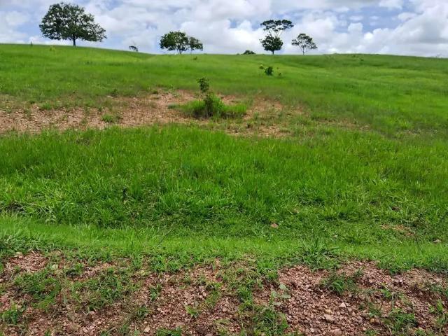 Fazenda venda em Região Geográfica Imediata de Ceres - Rialma - Goianésia, Vila Propício