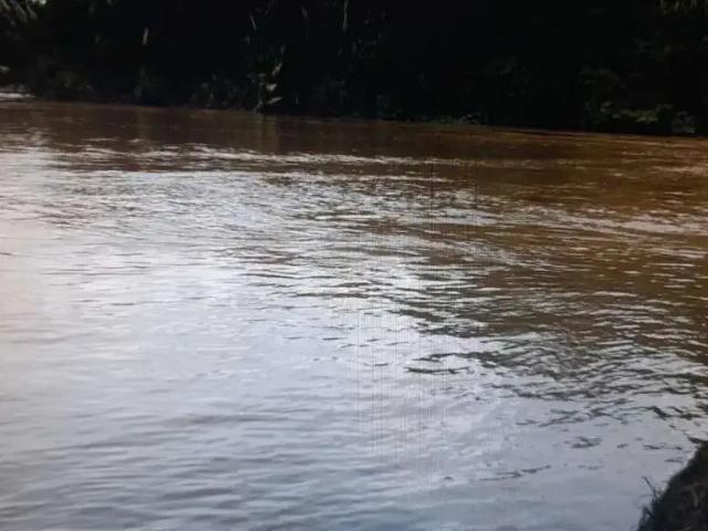 Fazenda venda em Região Geográfica Imediata de Ceres - Rialma - Goianésia, Vila Propício