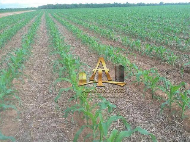 Fazenda venda em Região Geográfica Imediata de Confresa - Vila Rica, Vila Rica
