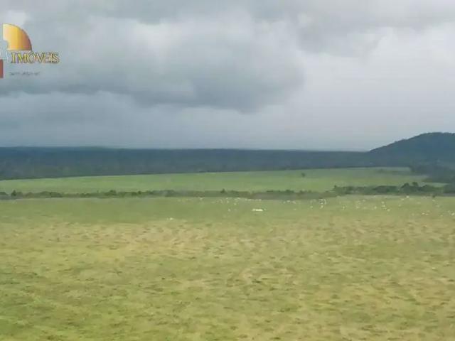 Fazenda venda em Região Geográfica Imediata de Confresa - Vila Rica, Vila Rica
