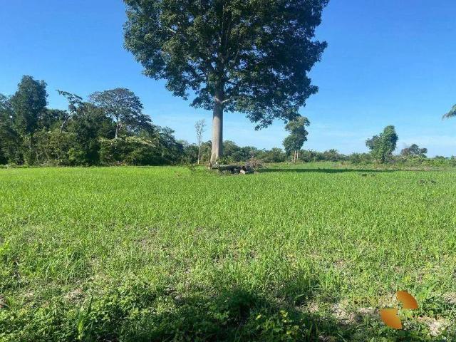 Fazenda venda em Região Geográfica Imediata de Confresa - Vila Rica, Vila Rica