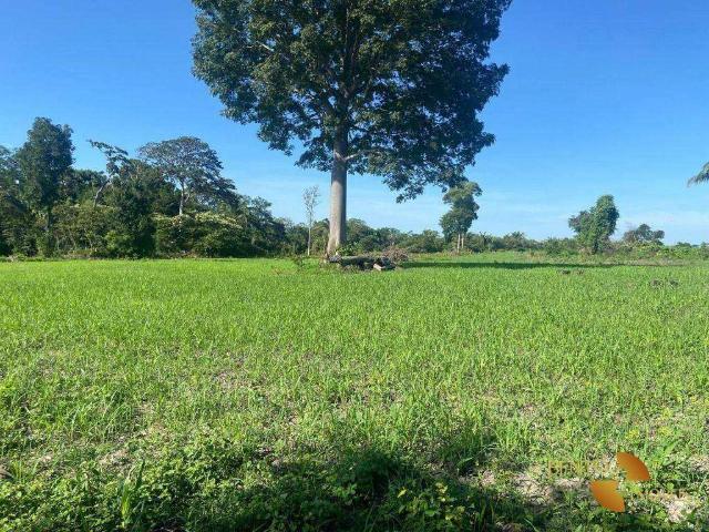 Fazenda venda em Setor Norte, Vila Rica