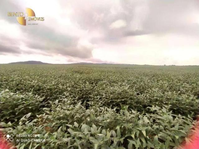 Fazenda venda em Região Geográfica Imediata de Confresa - Vila Rica, Vila Rica