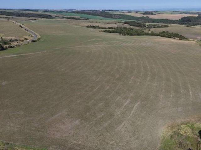 Sítio e chácara venda em Prado Velho, Castro