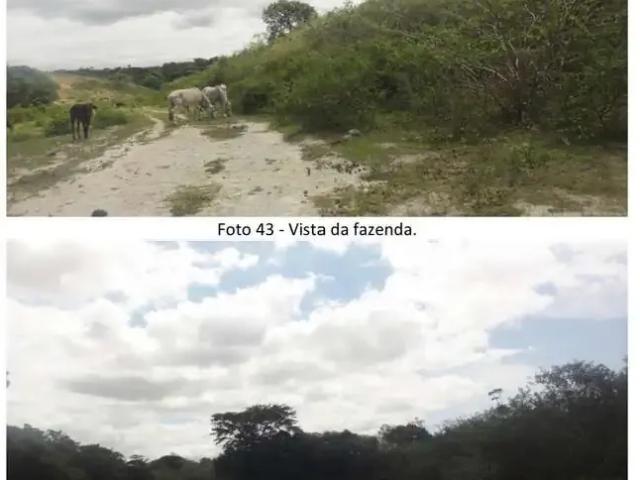 Fazenda venda em Região Geográfica Imediata de Vitória, Região Metropolitana da Grande Vitória
