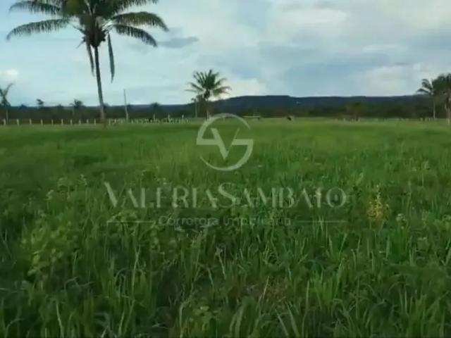 Fazenda venda em Vilhena, Região Norte