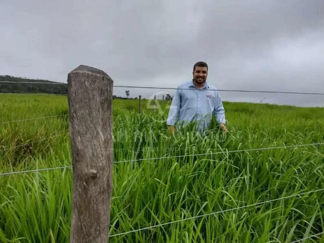 Fazenda venda em Vilhena, Região Norte