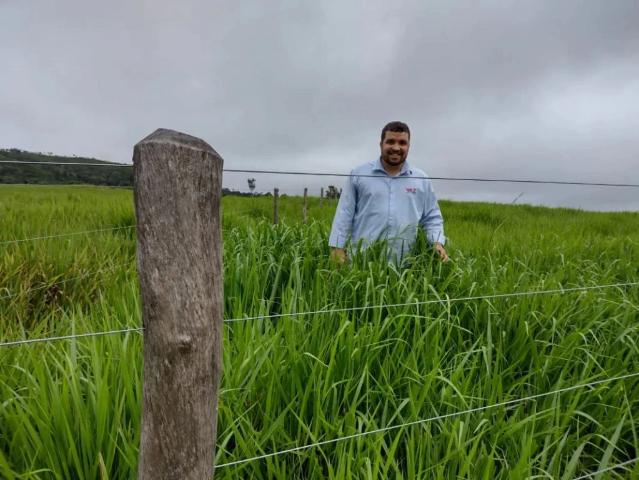 Fazenda venda em Vilhena