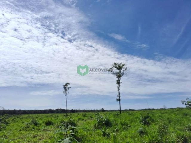 Fazenda venda em Vilhena, Região Norte