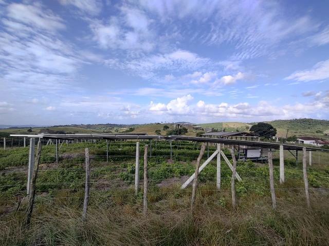Fazenda venda em Vitória de Santo Antão