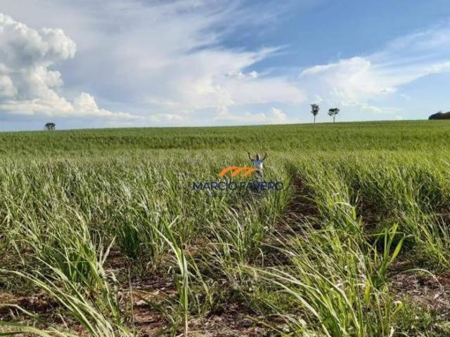 Sítio e chácara venda em Região Imediata de Votuporanga, Votuporanga