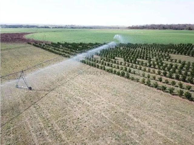 Fazenda venda em Região Imediata de Votuporanga, Votuporanga