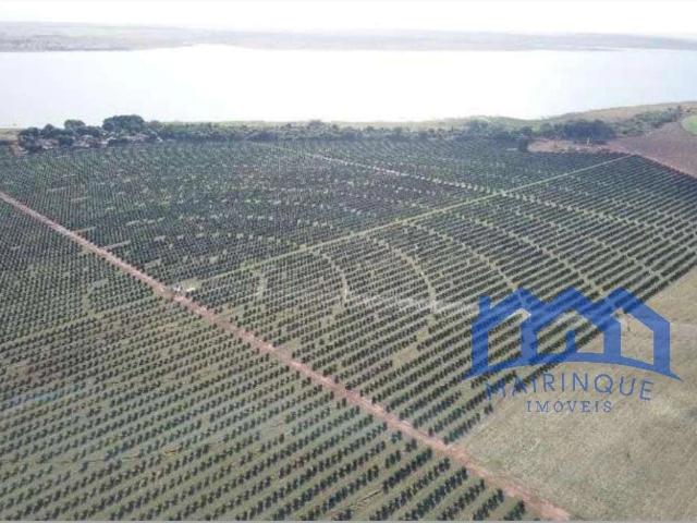 Fazenda venda em Jardim Bom Clima, Votuporanga