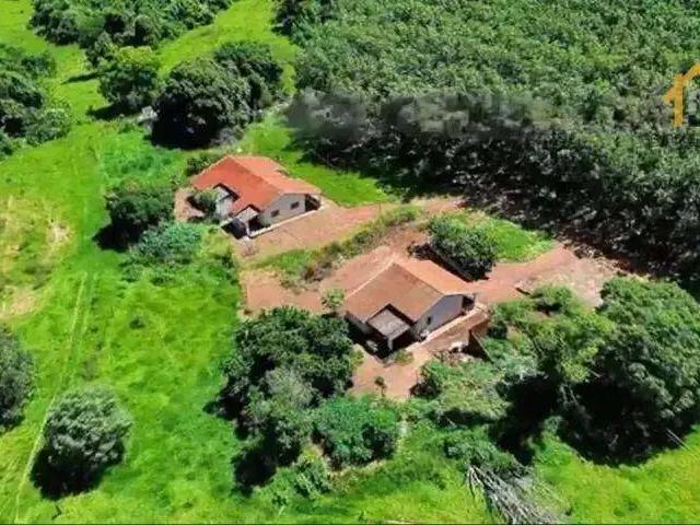 Fazenda venda em Região Imediata de Votuporanga, Votuporanga