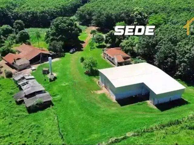 Fazenda venda em Região Imediata de Votuporanga, Votuporanga