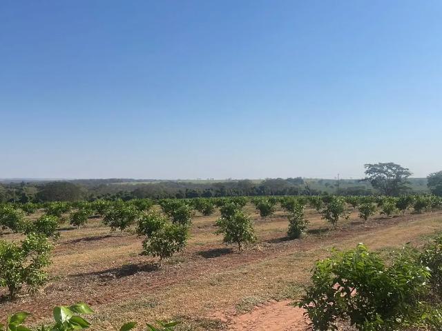 Fazenda venda em Região Imediata de Votuporanga, Votuporanga