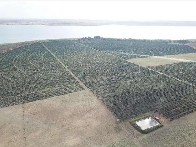 Fazenda venda em Região Imediata de Votuporanga, Votuporanga