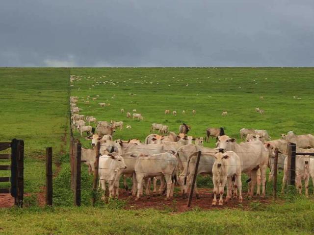 Fazenda venda em Xambrê, Região Geográfica Intermediária de Maringá