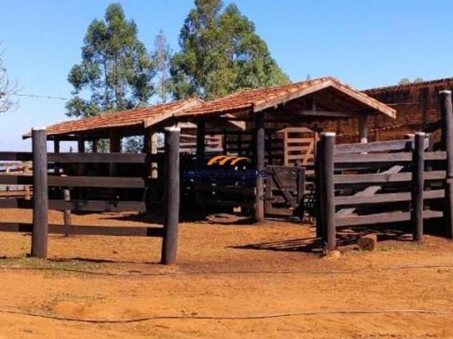 Sítio e chácara venda em Vila São Lucio, Botucatu