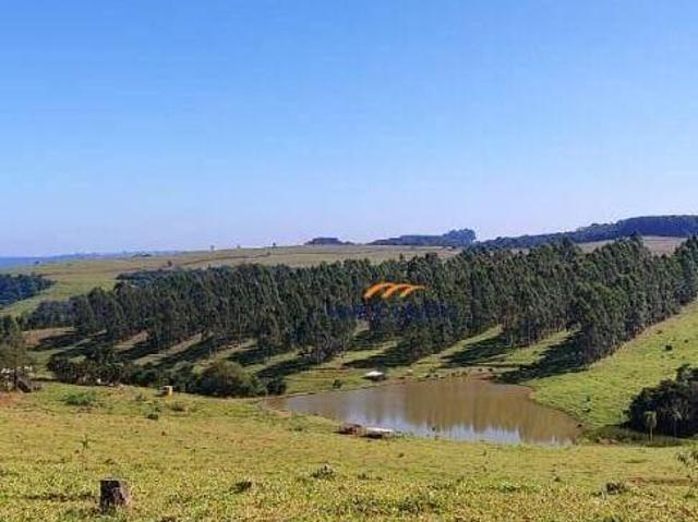 Sítio e chácara venda em Vila São Lucio, Botucatu