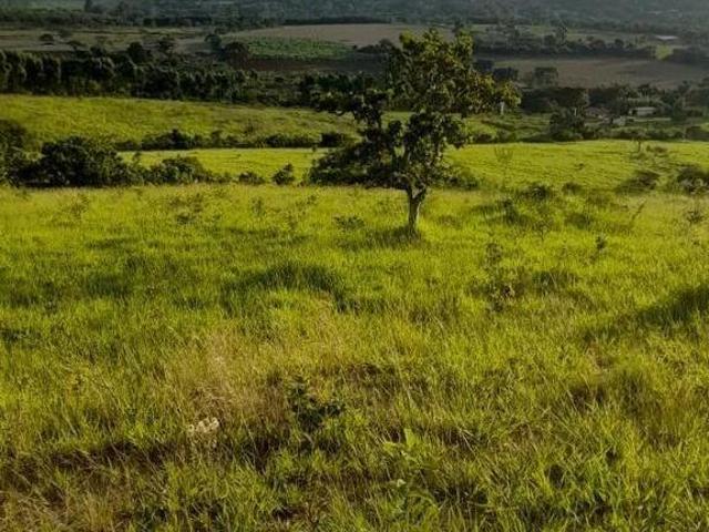 Sítio e chácara venda em Região Geográfica Imediata de Sete Lagoas, Paraopeba