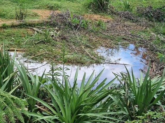 Sítio e chácara venda em Munhoz, Minas Gerais
