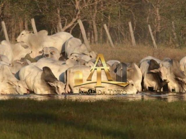 Sítio e chácara venda em Região Geográfica Imediata de Aquidauana - Anastácio, Miranda