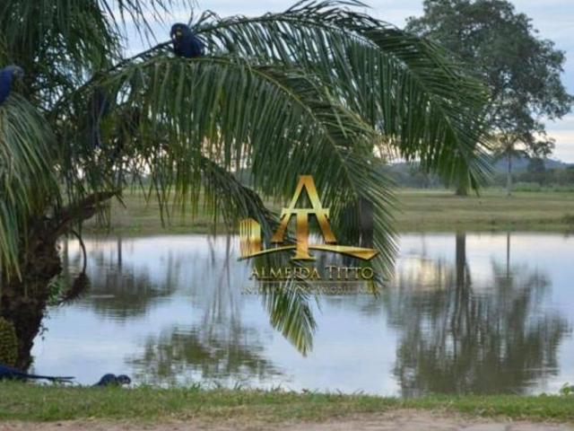 Sitio venda em Miranda, Miranda