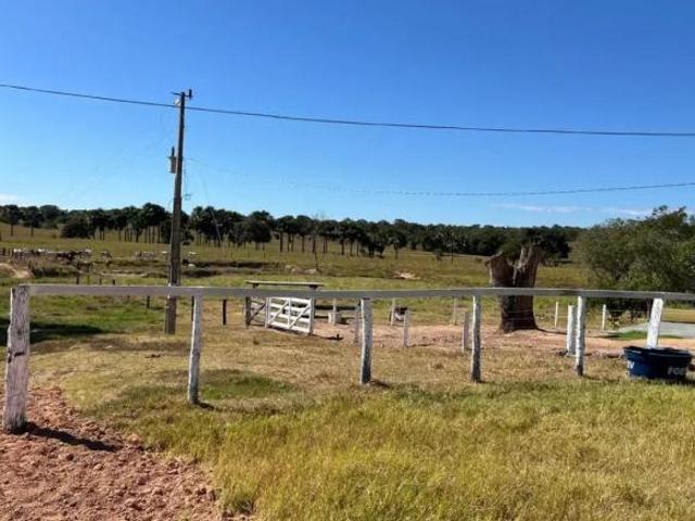 Sítio e chácara venda em Região Geográfica Imediata de Goiânia, Goiânia
