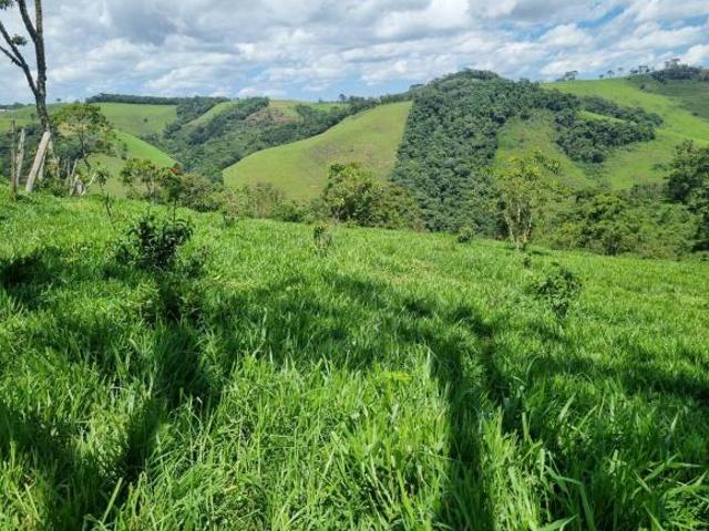 Sítio e chácara venda em Senador Amaral, Região Geográfica Intermediária de Pouso Alegre