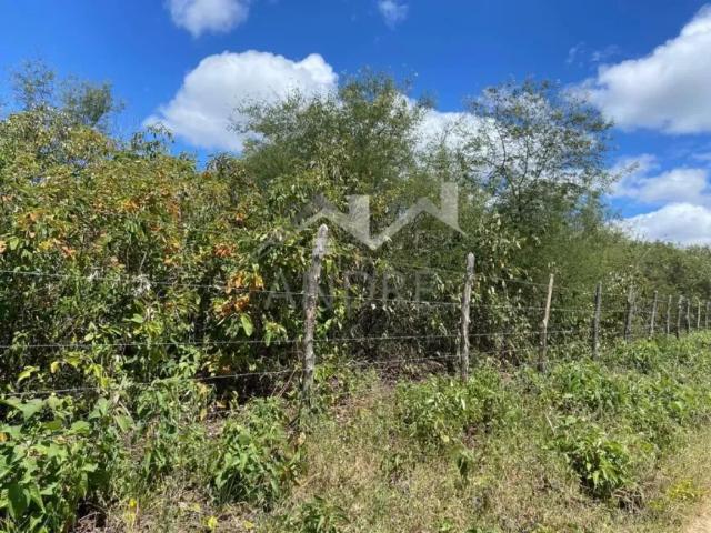 Fazenda venda em Região Geográfica Imediata de Caruaru, Gravata