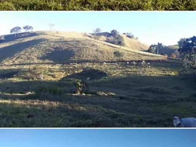 Sítio e chácara venda em Região Geográfica Imediata de Dores do Indaiá, Estrela do Indaiá