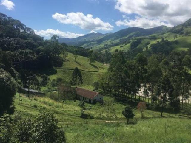 Sítio e chácara venda em Região Geográfica Imediata de Itajubá, Delfim Moreira