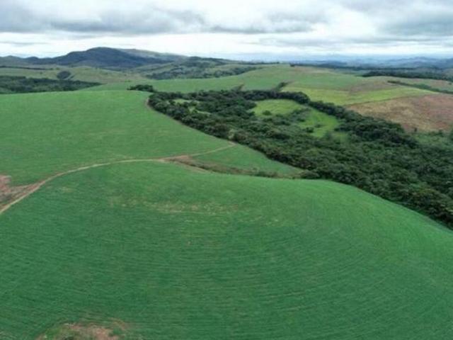 Sítio e chácara venda em Região Geográfica Imediata de Juiz de Fora, Andrelândia